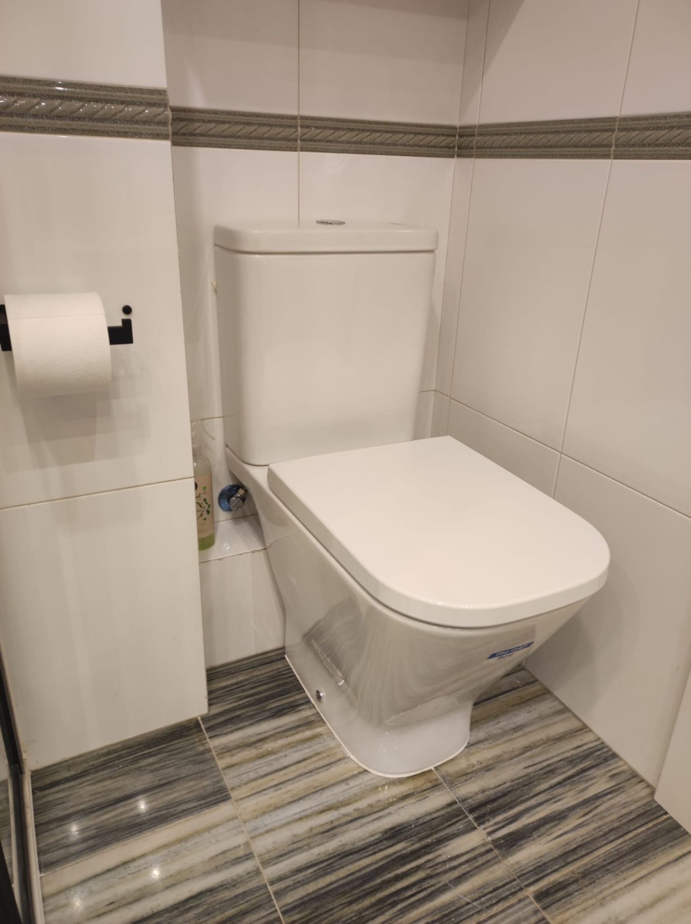 INODORO CON CAJÓN TRASERO inodoro nuevo